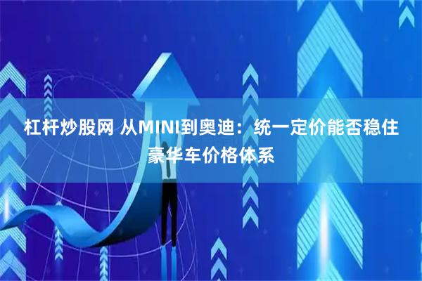 杠杆炒股网 从MINI到奥迪：统一定价能否稳住豪华车价格体系