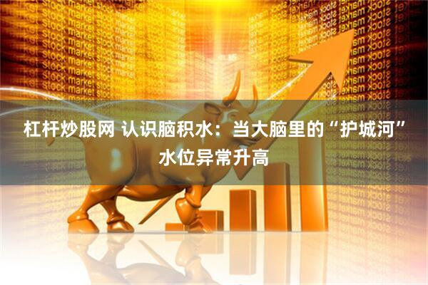 杠杆炒股网 认识脑积水：当大脑里的“护城河”水位异常升高
