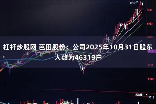 杠杆炒股网 芭田股份：公司2025年10月31日股东人数为46319户